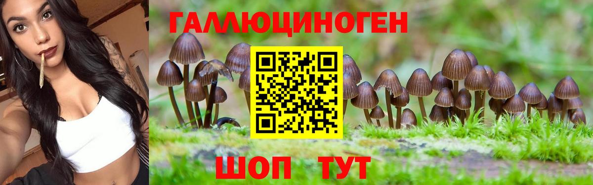 Псилоцибиновые грибы Magic Shrooms  Вход с VPN  Каменск-Уральский 